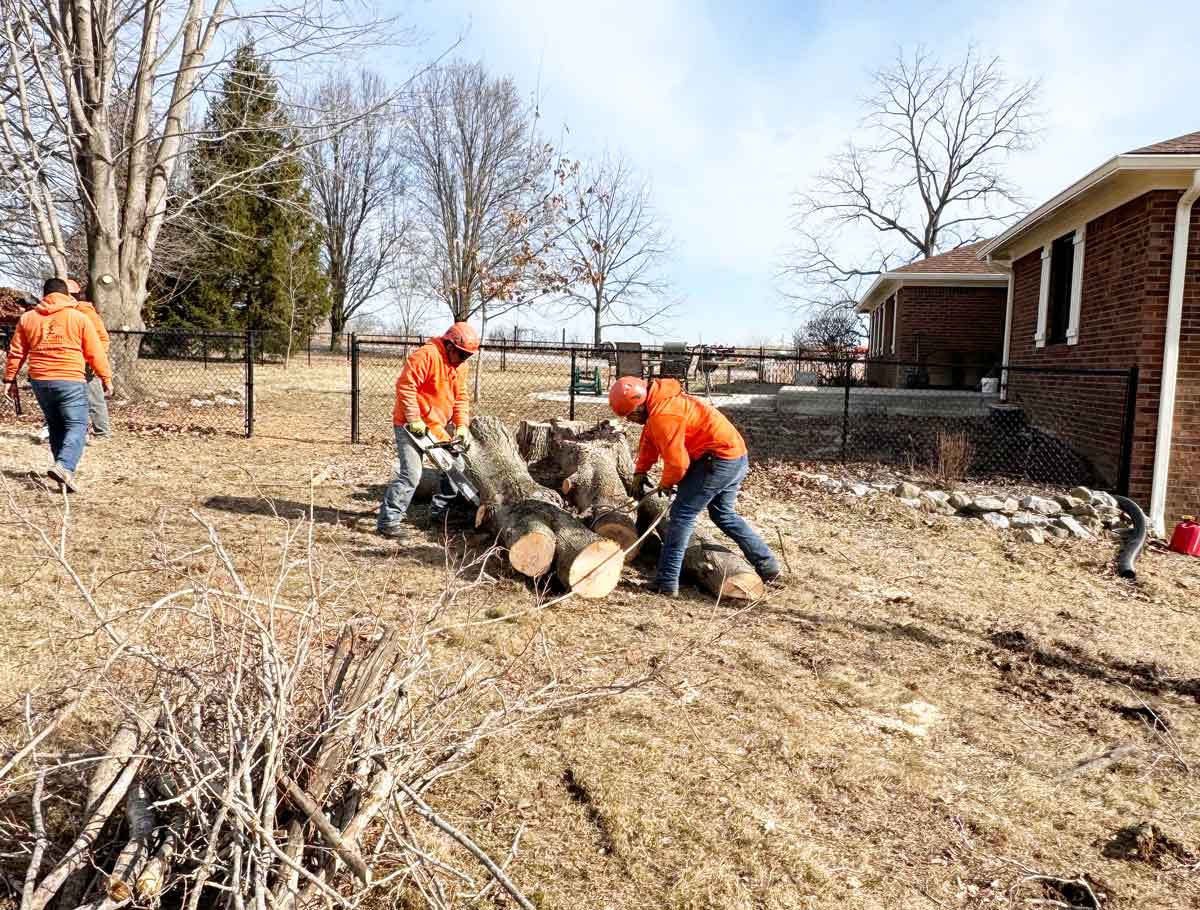 Indianapolis Stump Removal Indianapolis Stump Removal