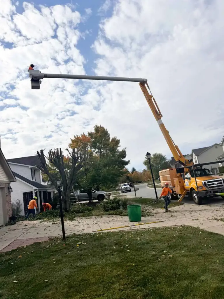 Bucket truck boom raised over a front yard for tree trimming