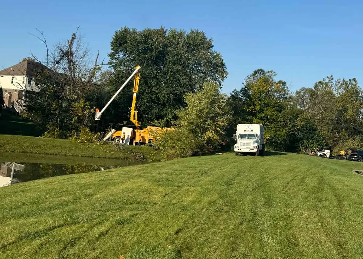 Bucket truck working on trees across a wide lawn in Westfield, IN
