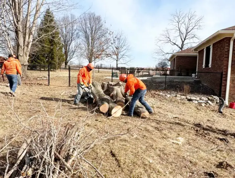 Crew cutting and stacking log sections in a backyard in Zionsville, IN