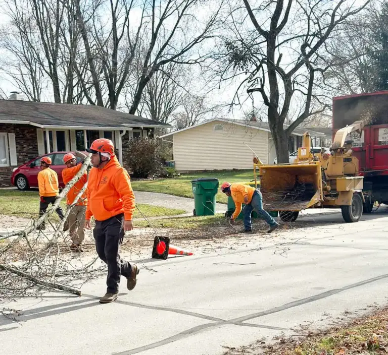 Crew dragging brush to a wood chipper on a residential street in Greenfield, IN