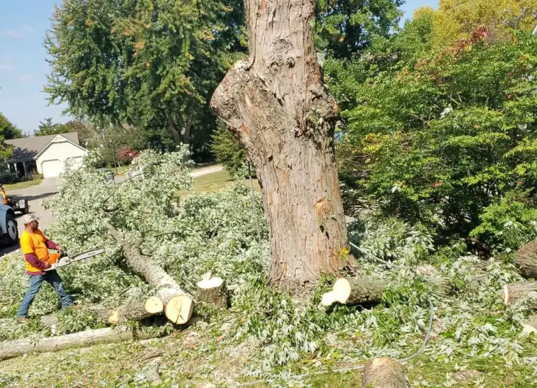 Crew member cutting up a felled tree in a backyard
