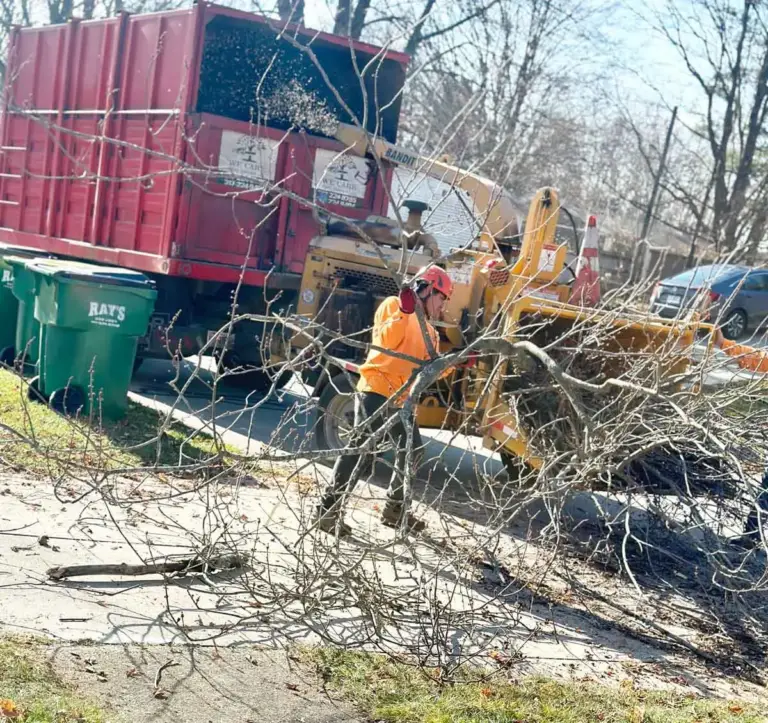 Crew member feeding limbs into a wood chipper