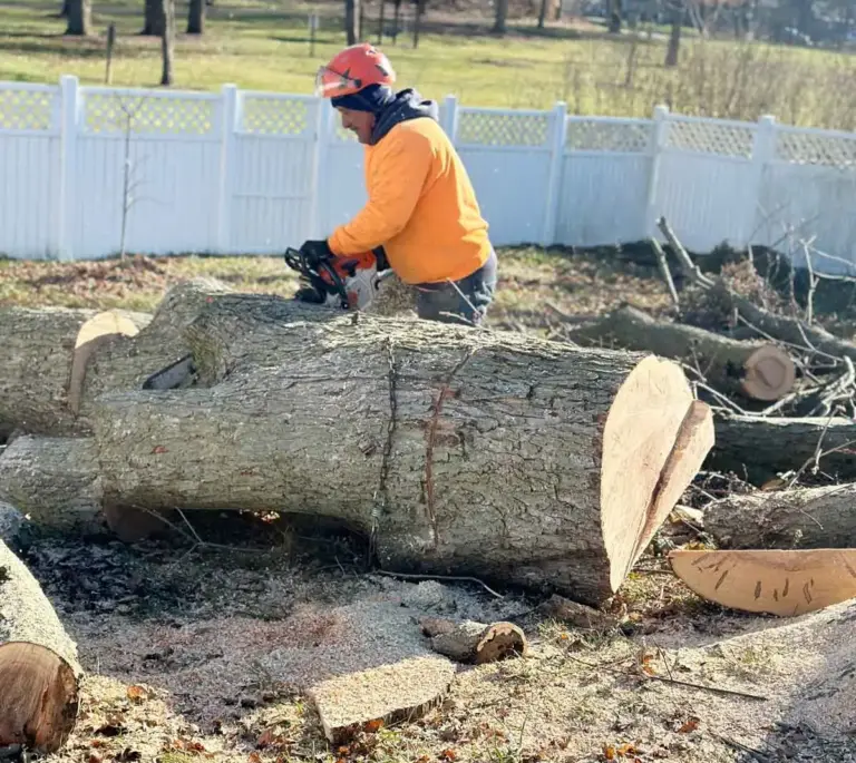 Crew member sawing through a large log by a fence in Zionsville, IN