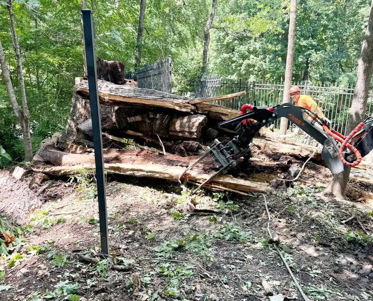 Crew moving large log sections with a grapple loader in Indianapolis