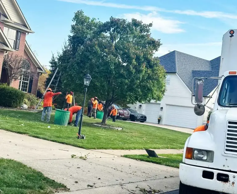 Crew trimming a front-yard tree from ladders in Greenfield, IN