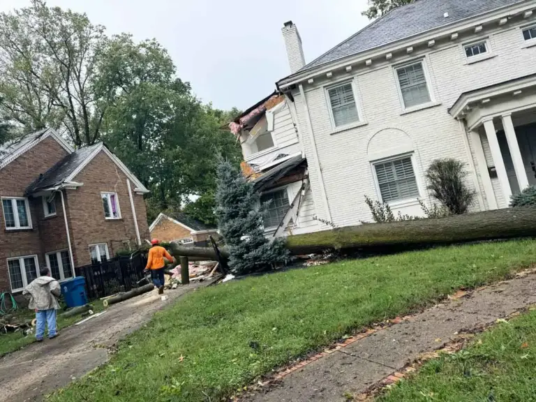 Large fallen tree across the front yard of a two-story home in Indianapolis