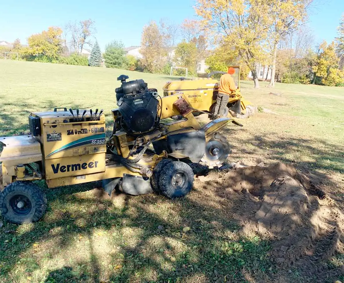 Stump grinder working on an open lawn in the fall